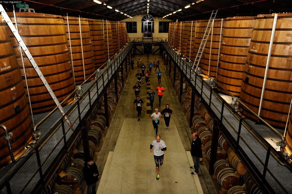 marathon du cognac course dans vignoble